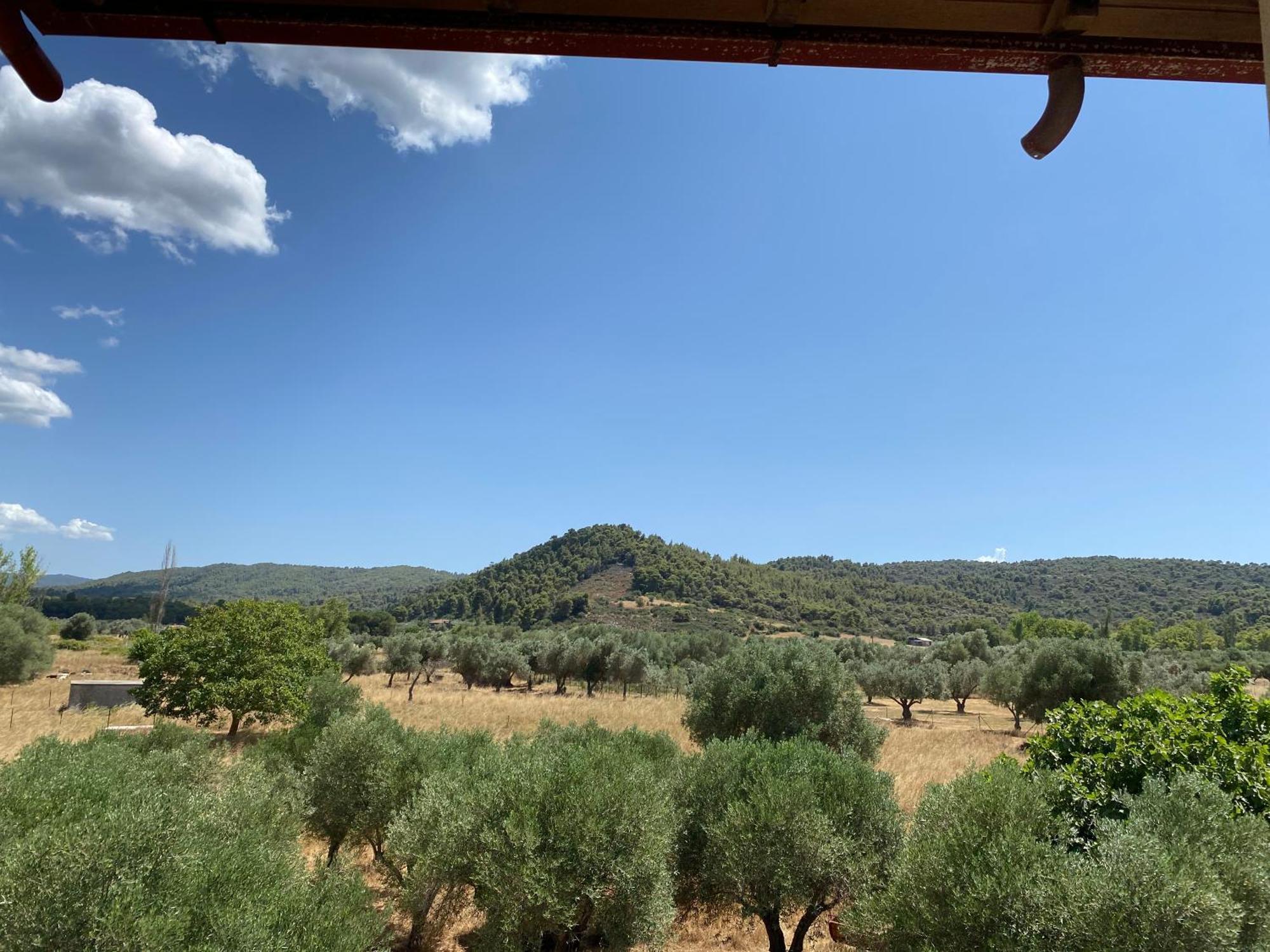 Aphrodites Gardens